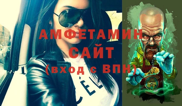 сатива Новодвинск